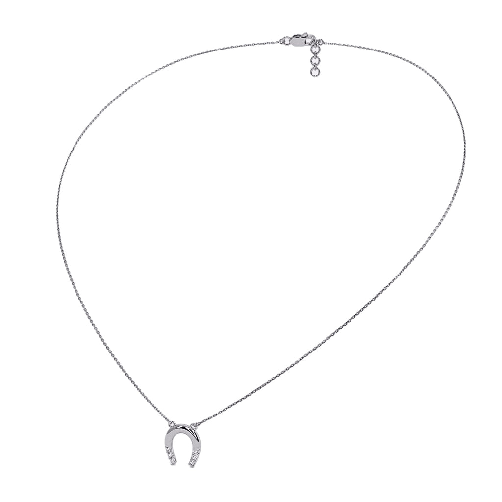Silver necklace with a horseshoe pendant on a white background
