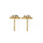 Luxury gold diamond earrings