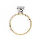 Yellow gold