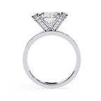 Brilliant round diamond white gold ring